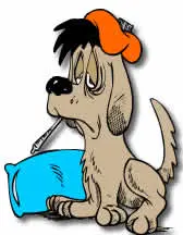 Dog Flu Is Not Kennel Cough 1 ProVetLogic Animal Facility kills Dog Flu