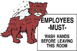 Catter Cleaning Protocol