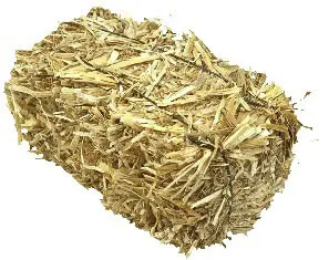 Is Your Stable Toxic? Try Our Equine Stable Cleaner 2 Hay Bale