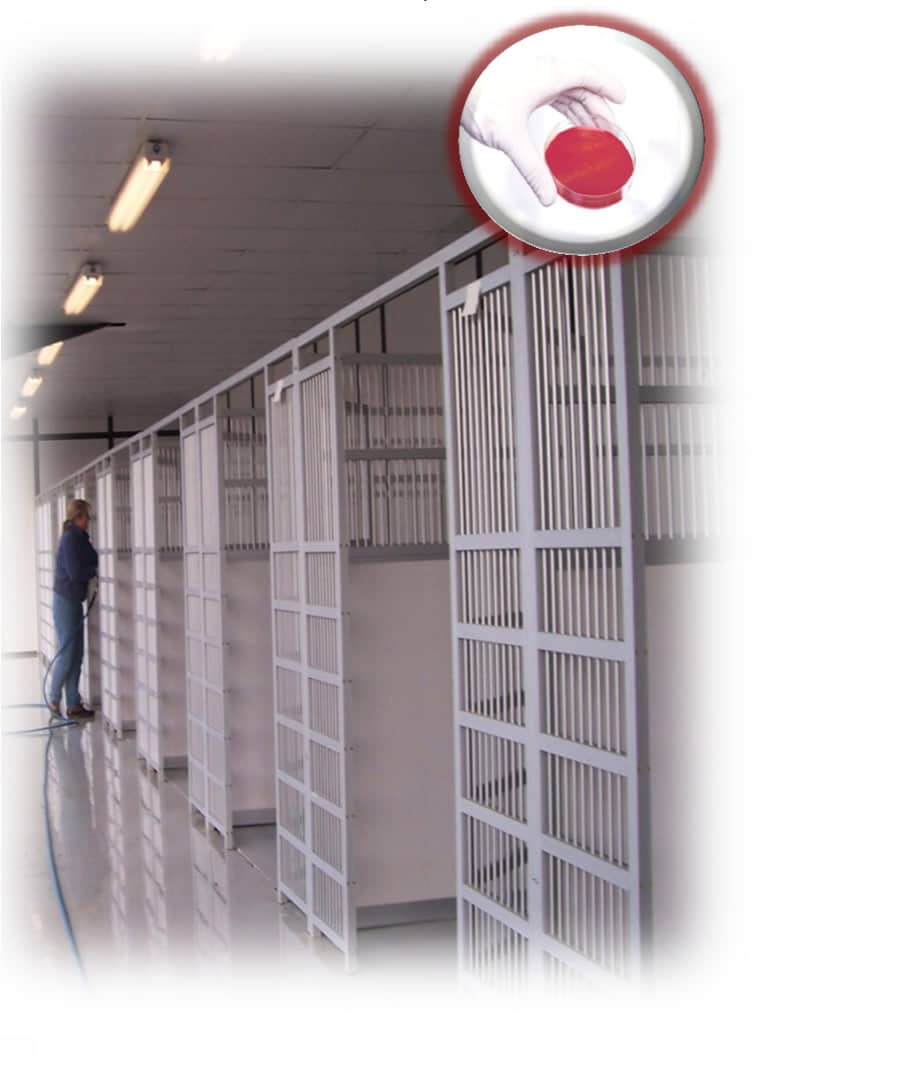 Disinfectants Versus Organic Matter