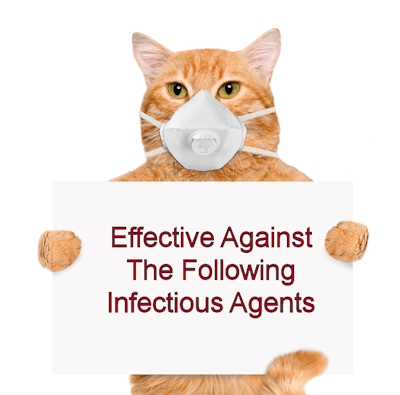 Cattery Cleanup Protocol 2025 1 Cattery Cleanup protocol Effective Against Infectious Agents