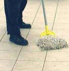 Animal Care Spray N' Wipe Disinfectant 1 floors