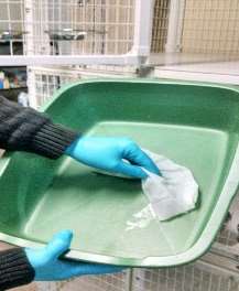 Cattery Cleanup Protocol 2025 5 Litter Boxes