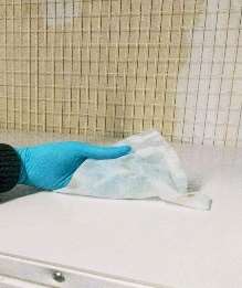 Cattery Cleanup Protocol 2025 4 Surfaces