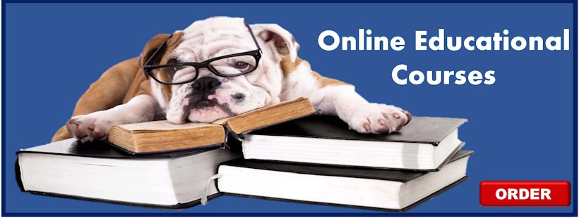 Educational Solutions 2025 2 On-line educational Courses