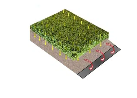 Critter Care Question #1 - How To Deodorize Synthetic Turf 6 pet turf grass cleaning
