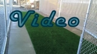 Pet Turf Video