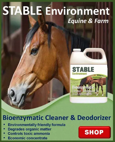Web-Featured-Stable-Environment-Gallon-Single_480_Gtm Stable Environment