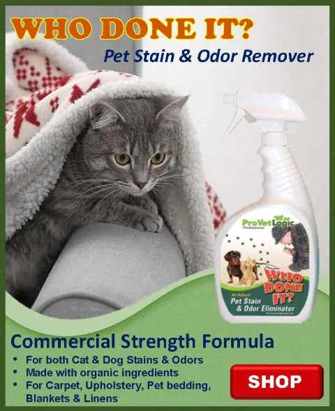 Web-Featured-Who-Done-It-32-Ounce-Single_480_Gtm Who Done It?