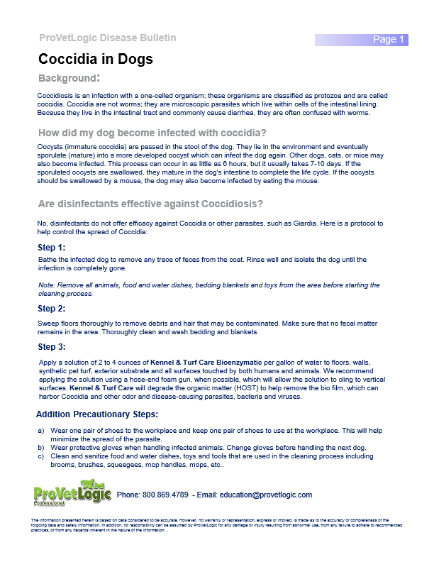 Pet Disease Bulletins 2025 29 Coccidia in Dogs