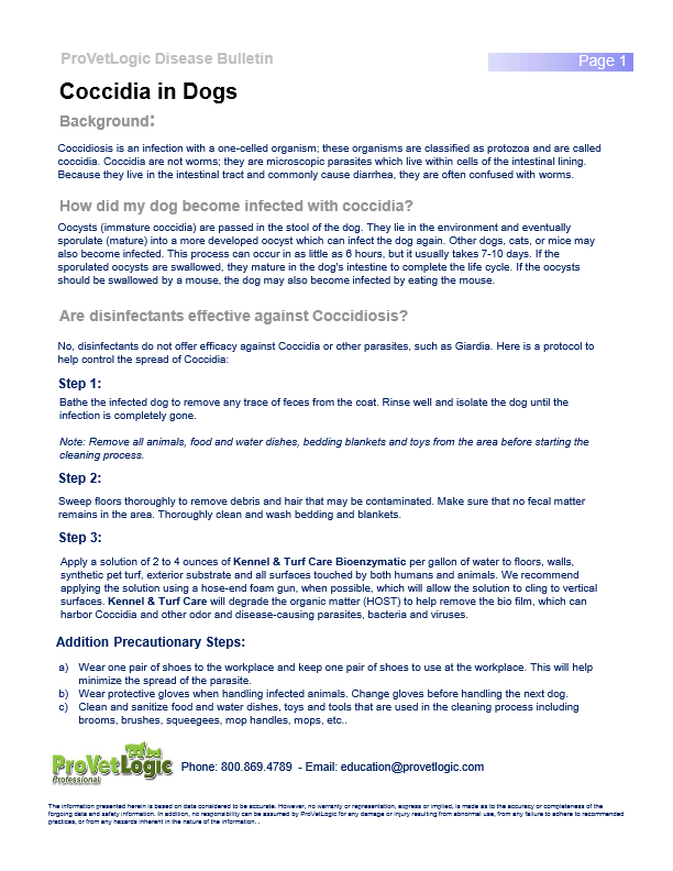 Pet Disease Bulletins 2025 29 Coccidia in Dogs