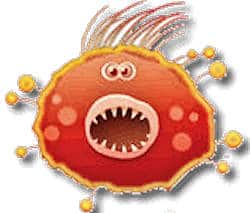 What is Canine Parvovirus